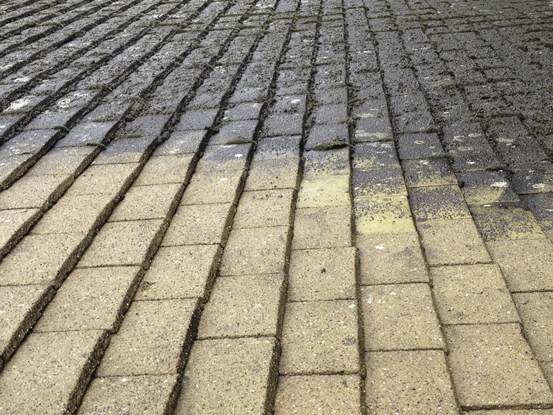 Moss Off Roof, Norfol